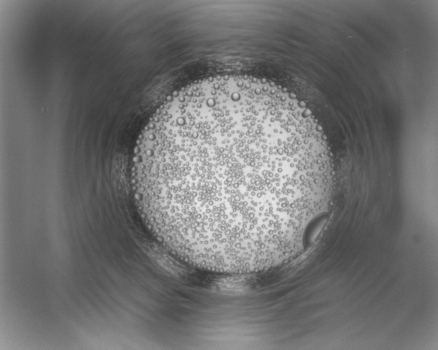 X0000052970178200508051024