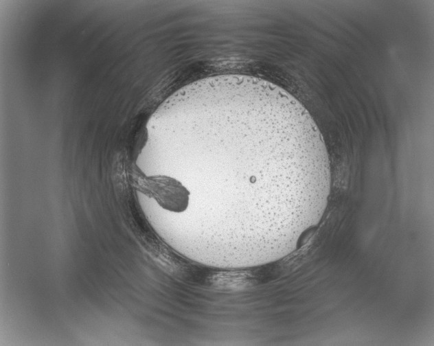 X0000052970179200508051024