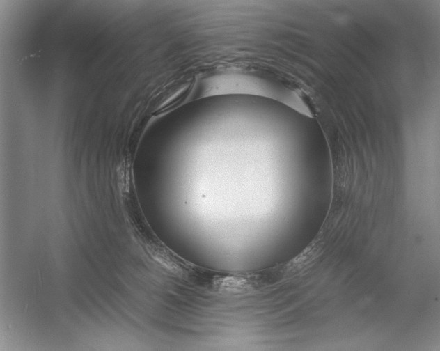 X0000052970180200508051024