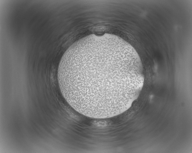 X0000052970181200508051024