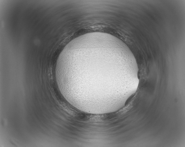 X0000052970182200508051024