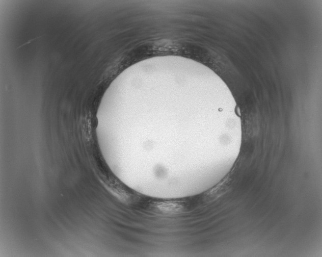 X0000052970183200508051024