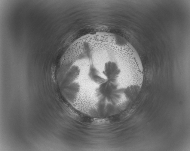 X0000052970185200508051024