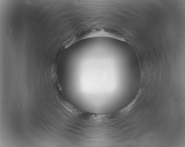 X0000052970186200508051024