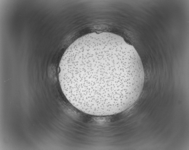 X0000052970187200508051024