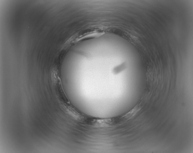 X0000052970188200508051024