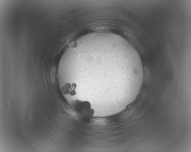 X0000052970189200508051024