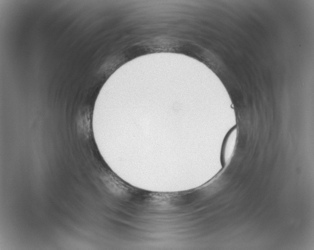 X0000052970190200508051024