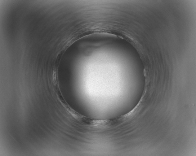 X0000052970192200508051024