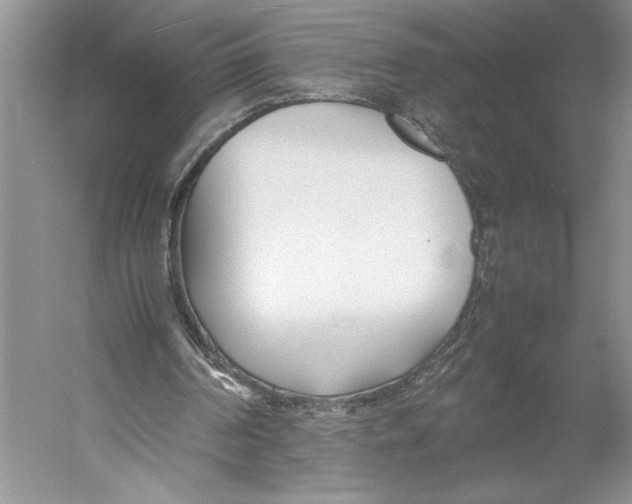 X0000052970194200508051023