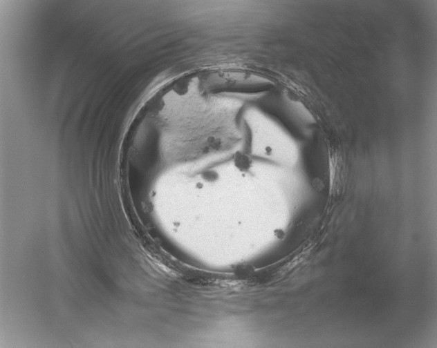 X0000052970195200508051023