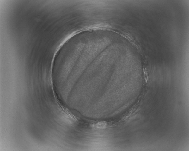 X0000052970196200508051023