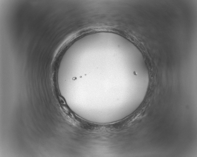 X0000052970197200508051023