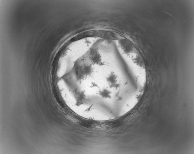 X0000052970199200508051023