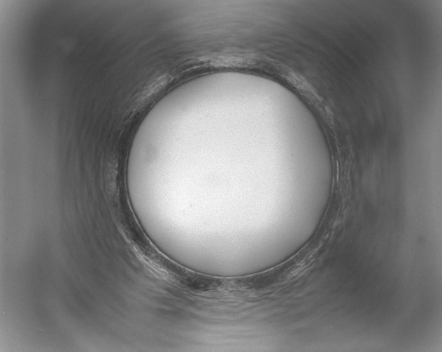 X0000052970201200508051023