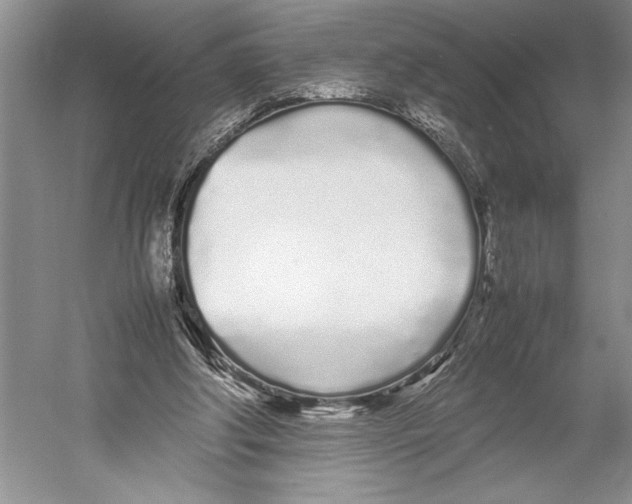 X0000052970202200508051023