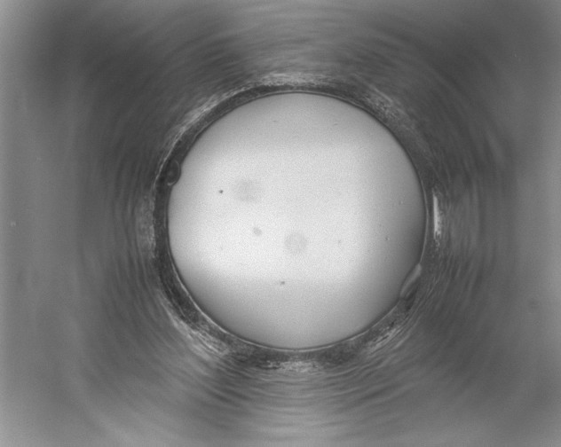 X0000052970204200508051023