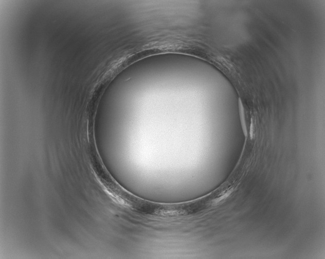 X0000052970205200508051023