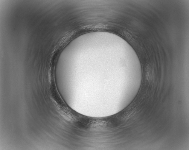 X0000052970206200508051023