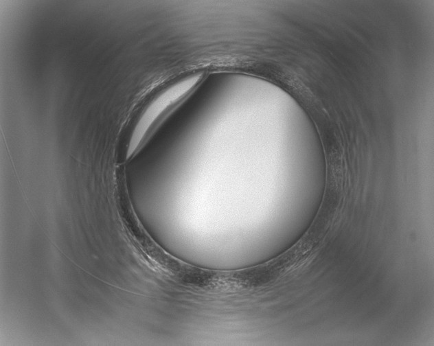 X0000052970207200508051023