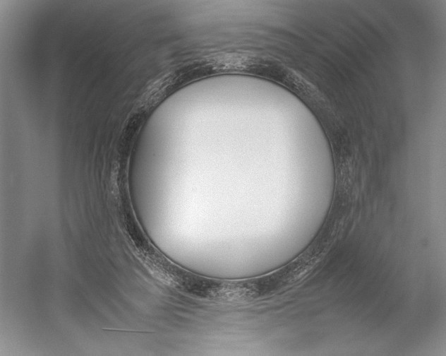 X0000052970209200508051023