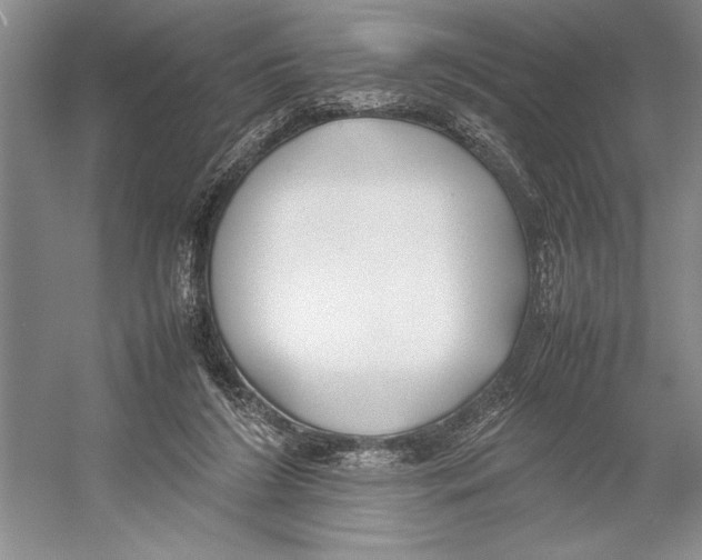 X0000052970212200508051023