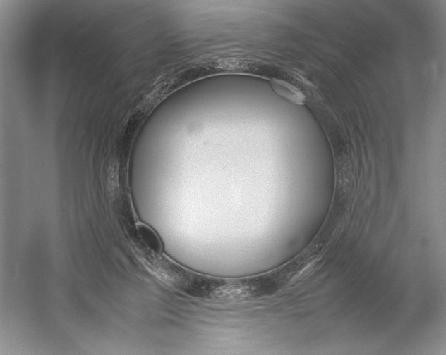 X0000052970213200508051023