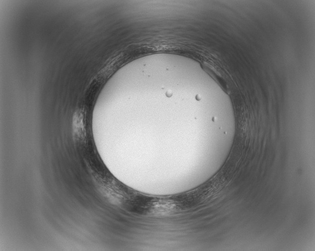 X0000052970214200508051023