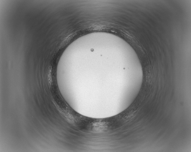 X0000052970216200508051023