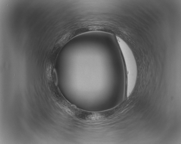 X0000052970219200508051023