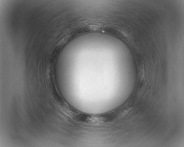 X0000052970221200508051023