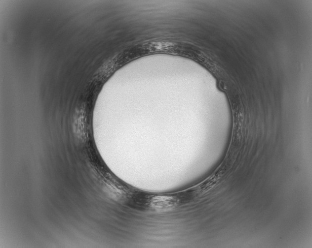 X0000052970222200508051023