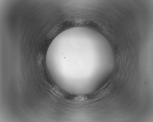 X0000052970225200508051023