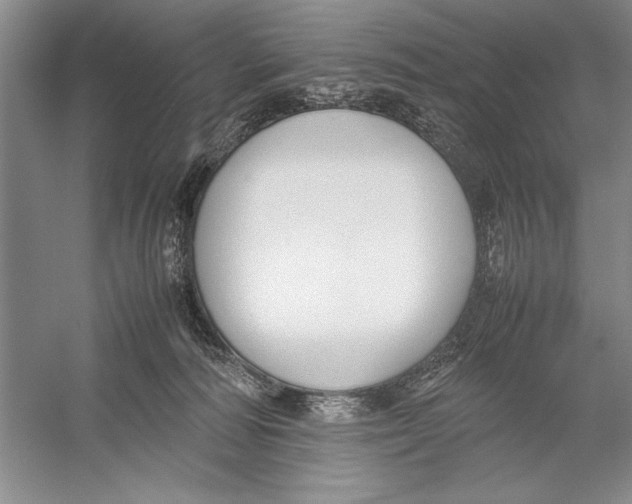 X0000052970226200508051023