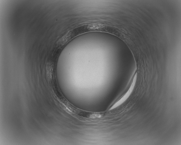 X0000052970227200508051023