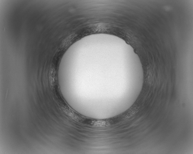 X0000052970230200508051023