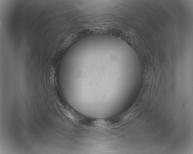 X0000052970231200508051023