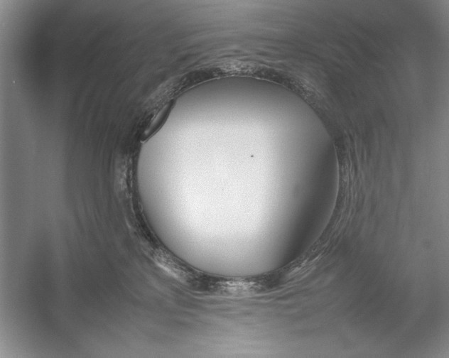 X0000052970233200508051023