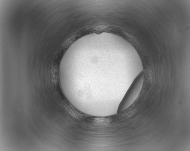 X0000052970234200508051023