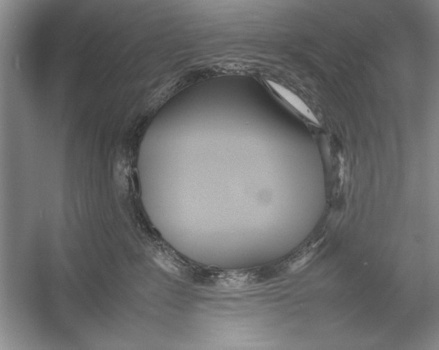 X0000052970235200508051023