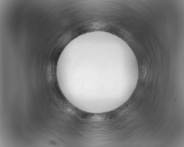 X0000052970236200508051023