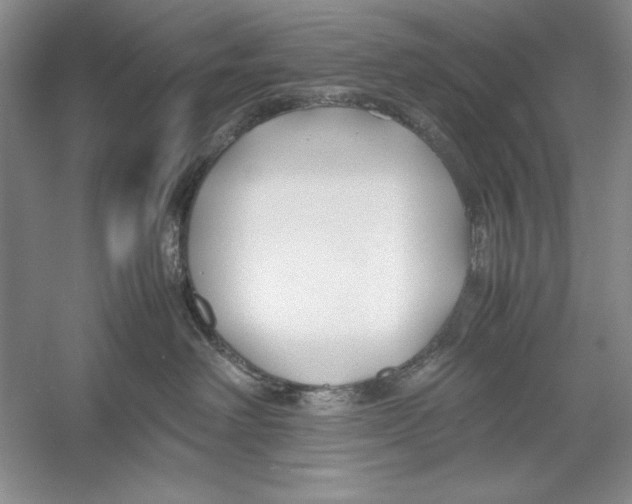 X0000052970238200508051023