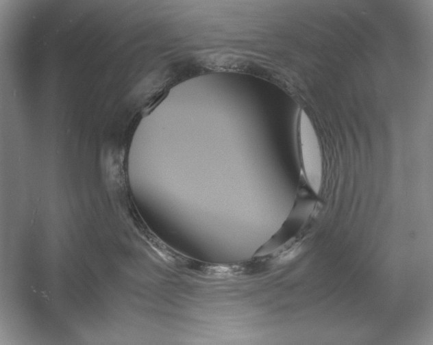 X0000052970239200508051023