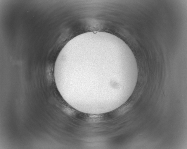 X0000052970240200508051023