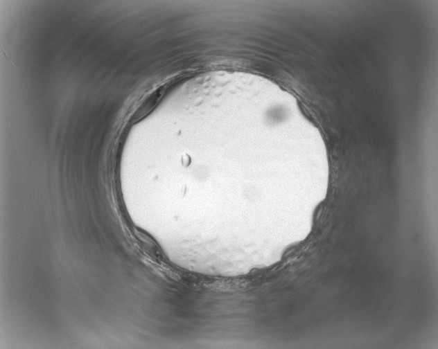 X0000052970241200508051022