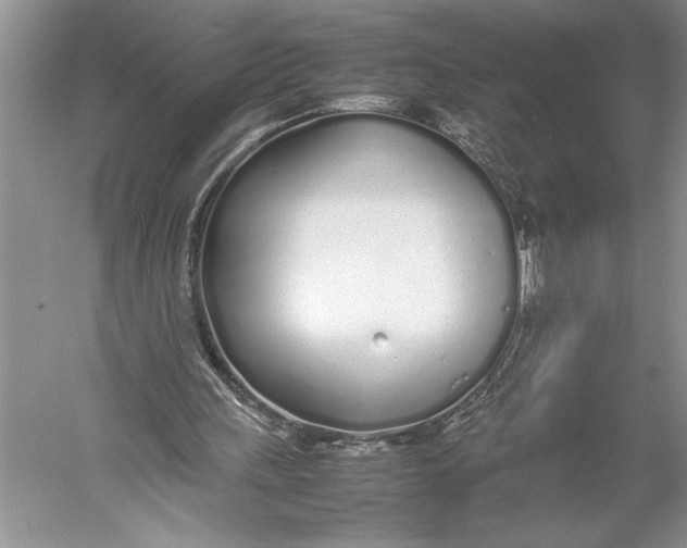 X0000052970243200508051022