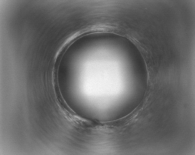 X0000052970244200508051022