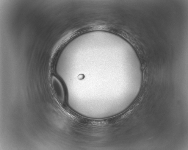 X0000052970245200508051022