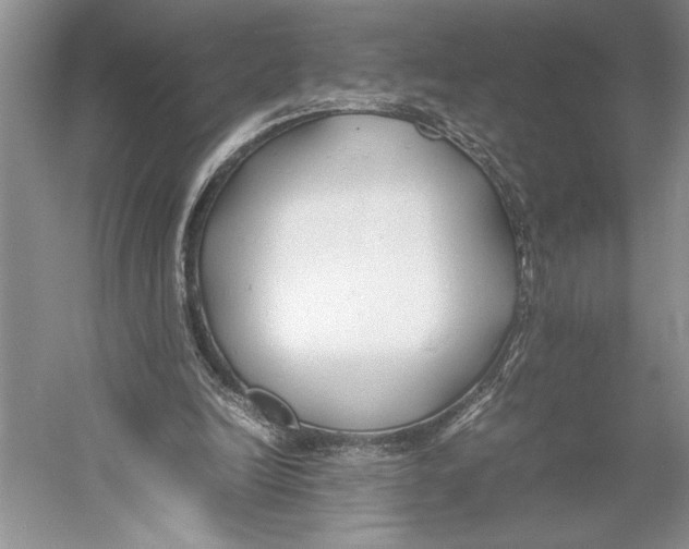 X0000052970246200508051022