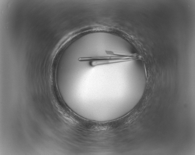 X0000052970247200508051022